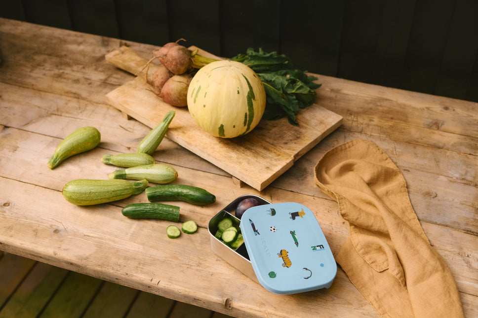 Stainless Steel Lunchbox Fun / Beach Blue