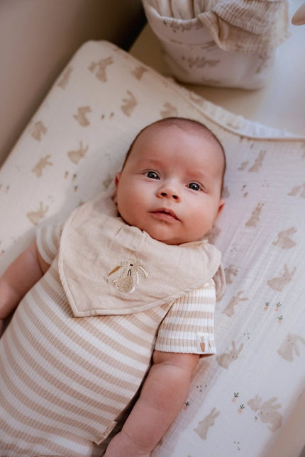 Aankleedkussenhoes - Baby Bunny koop je bij Babywinkel