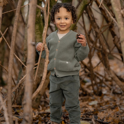 Broek Balsam Green