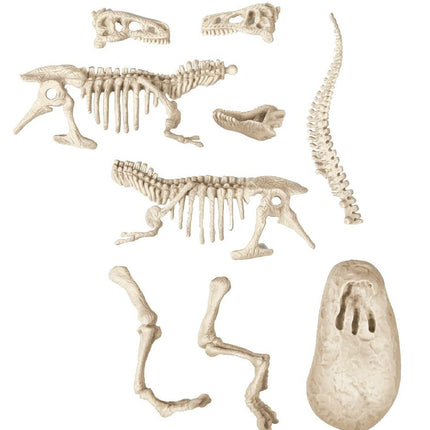 Clementoni Archeospel T - rex Fluor 7+ - Babywinkel - 8005125666959