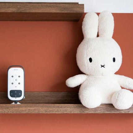 Alecto DVM75 Babyphone avec Caméra Moniteur 2,4 et Alarme Alecto DVM75 Babyphone avec Caméra Moniteur 2,4 et Alarme