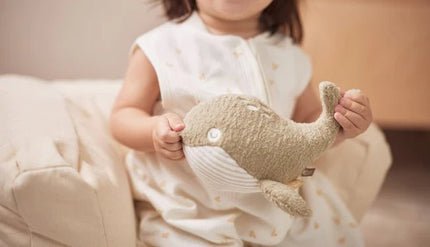 Jollein Slaapzak Baby Harvest Moonstone 60cm - Jollein - Babywinkel - 8717329380363