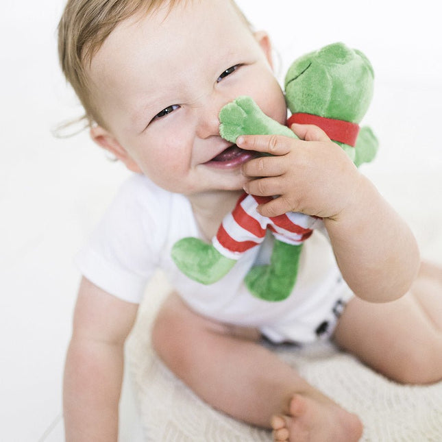 Kikker Knuffel 20cm - Babywinkel - 8714274370852