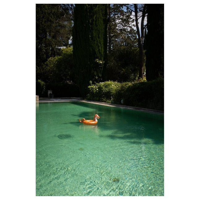 Konges Slojd Zwemband Tiger Orange koop je bij Babywinkel