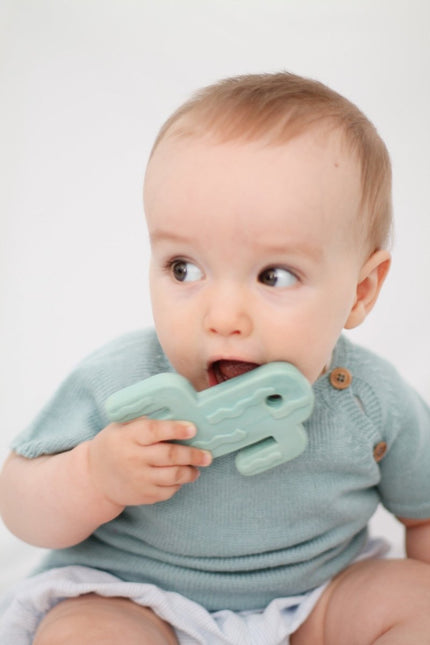 Lanco Bijtring Cactus Plat Groen koop je bij Babywinkel