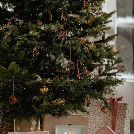 LD Sieradendoosje Fairy Garden 17,8x11,5X9.9cm koop je bij Babywinkel