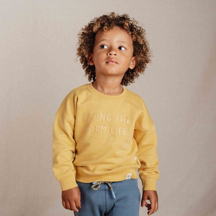 Little Dutch Baby Sweater Mustard Yellow - Little Dutch - Babywinkel - 8720986876889