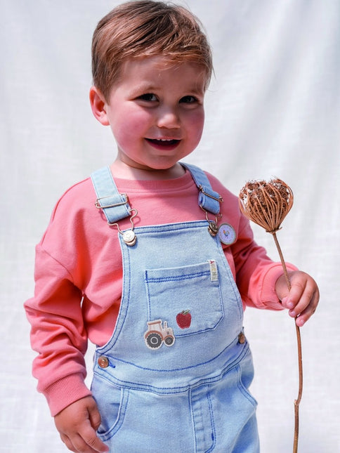 Little Dutch Baby Trui Little Farmer Red - Little Dutch - Babywinkel - 8720847025241
