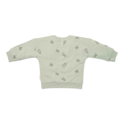 Little Dutch Baby Trui Mint Bugs - Babywinkel - 8721122576311