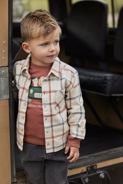 Little Dutch Baby Vestje Safari Check koop je bij Babywinkel