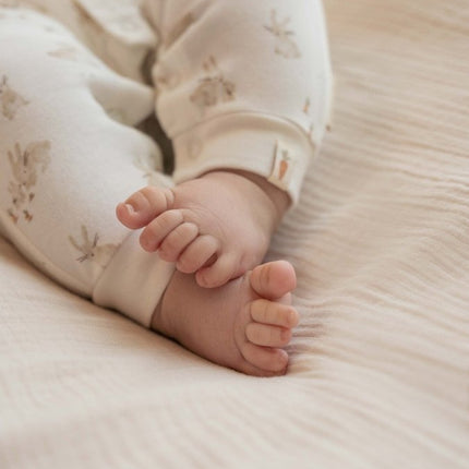 Little Dutch Boxpakje Baby Bunny - Little Dutch - Babywinkel - 8720847027641