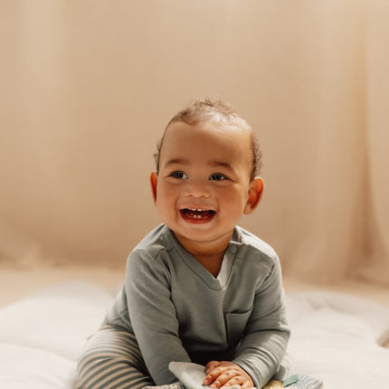 Little Dutch Buggyboekje Forest Friends koop je bij Babywinkel