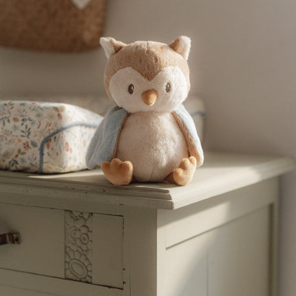 Little Dutch Forest Friends Knuffel Uil koop je bij Babywinkel
