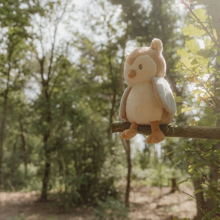Little Dutch Forest Friends Knuffel Uil koop je bij Babywinkel
