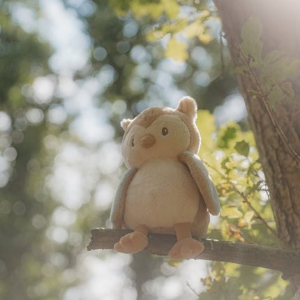 Little Dutch Forest Friends Knuffel Uil koop je bij Babywinkel