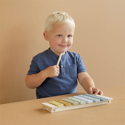 Little Dutch Houten Speelgoed Xylofoon Blue - Little Dutch - Babywinkel - 8713291770171