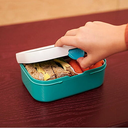 Little Dutch Lunchbox Campus Sailors Bay - Little Dutch - Babywinkel - 8720294016557
