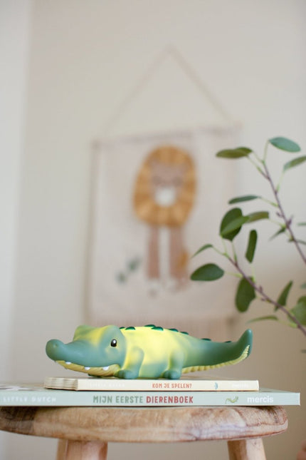 Little Dutch Nachtlampje Krokodil koop je bij Babywinkel