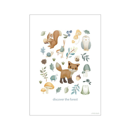 Little Dutch Poster Forest Wonder A3 - Little Dutch - Babywinkel - 8721122570463
