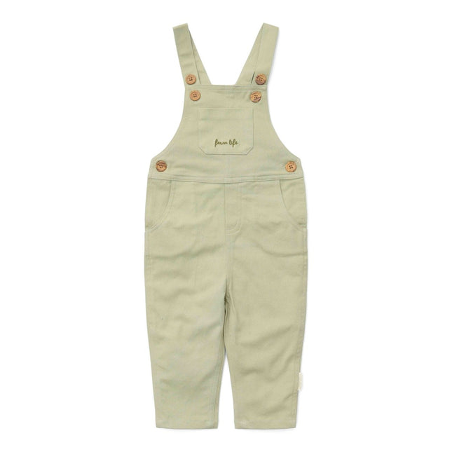 Little Dutch Tuinbroekje Winter Green Boys koop je bij Babywinkel