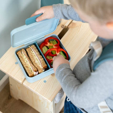 Lunch box w/divider Blue Tiny farm - Babywinkel - 5712643059820