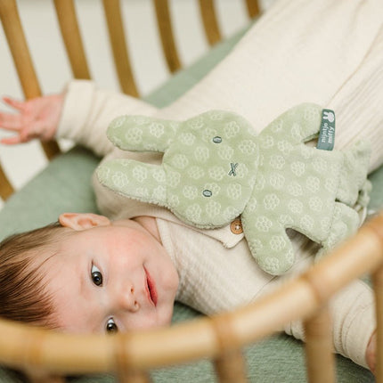 Nijntje Speendoekje Green Flower koop je bij Babywinkel
