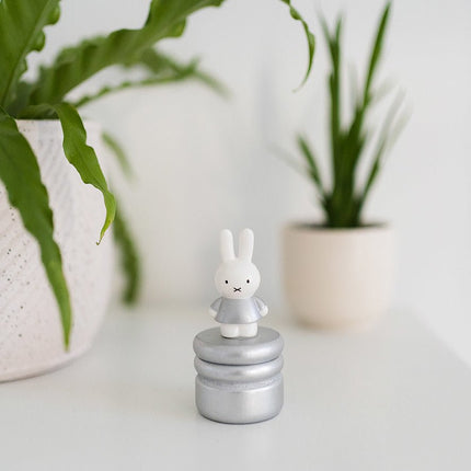 Nijntje Tandendoosje Zilver - Nijntje - Babywinkel - 8714274170124