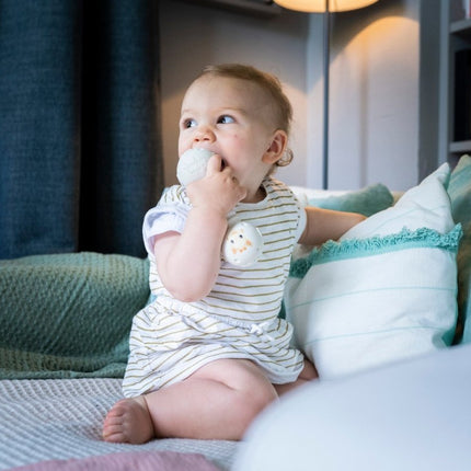 Sophie de Giraf Rammelaar Bijt - Sophie de Giraf - Babywinkel - 3056560105102