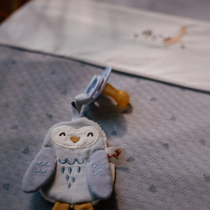 Little Dutch Speendoekje Uil Forest Friends koop je bij Babywinkel