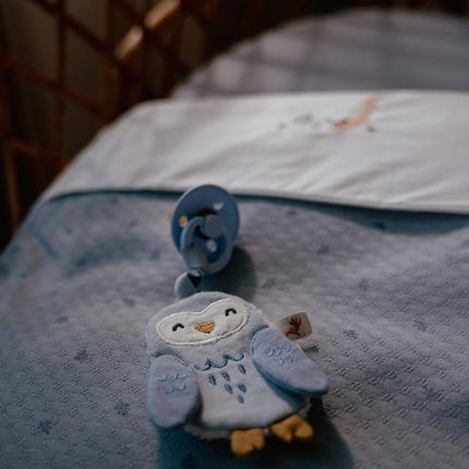 Little Dutch Speendoekje Uil Forest Friends koop je bij Babywinkel