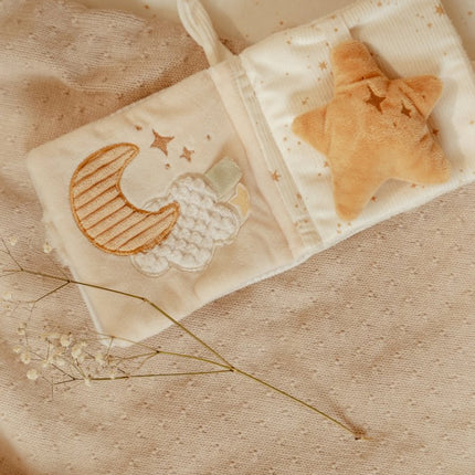 Little Dutch Buggyboekje Newborn