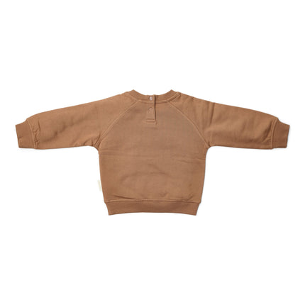 Trui Brown
