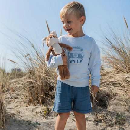 Sweater Light Blue koop je bij Babywinkel