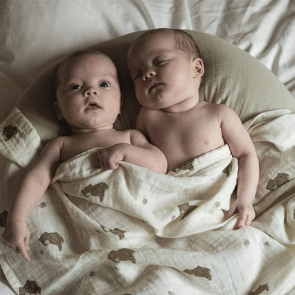 That's Mine Voedingskussen Moon Desert Sage